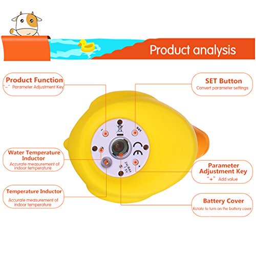 Baby Bath Thermometer Toy