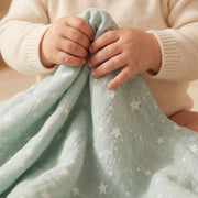Muslin Baby Blanket Set